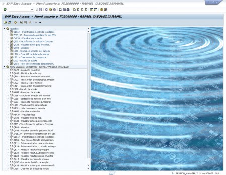 SAP  Manejo de inventarios de la compañía 